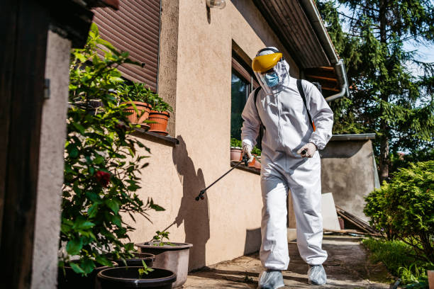 Reliable James Island, SC Pest Control Solutions