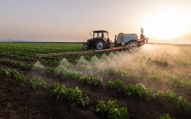 Pest Control Cost in James Island, SC