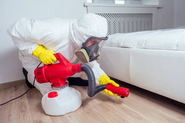 Best Pest Control Near Me  in James Island, SC