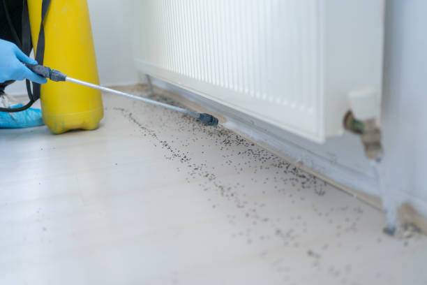 Best Wildlife Control Services  in James Island, SC