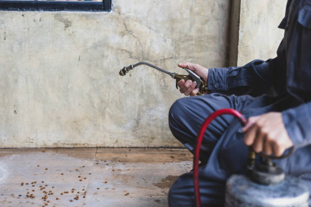 Best Emergency Pest Control  in James Island, SC
